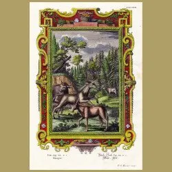Unicorn, Onager And Bulls