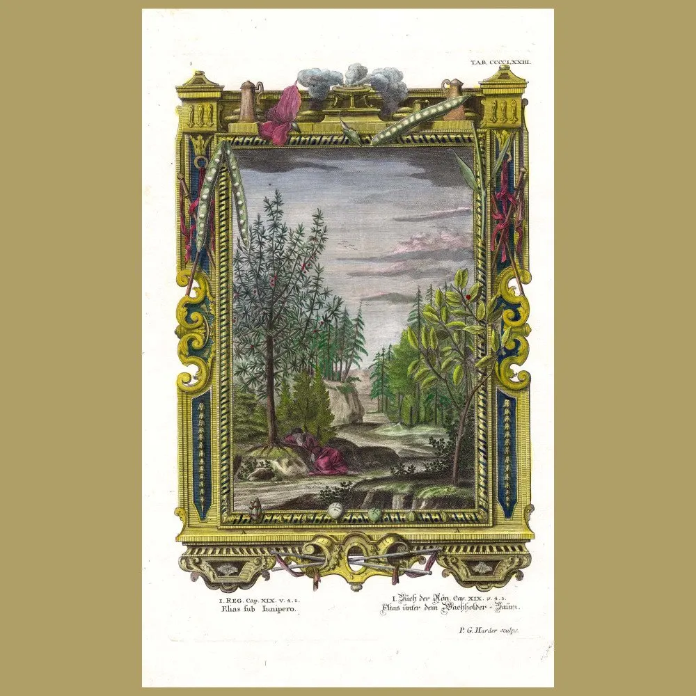 Elias (Elijah) Under Juniper Tree. (Elias Sub Junipero): Genuine antique print for sale.