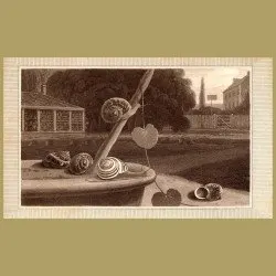 Snail